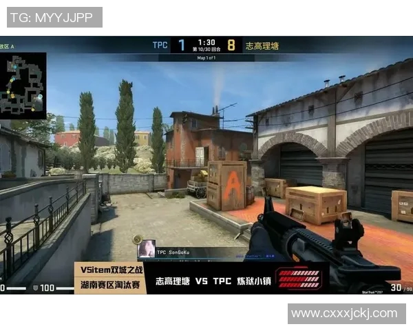 CSGO意识排行榜V5荣登第四名引发玩家热议与关注